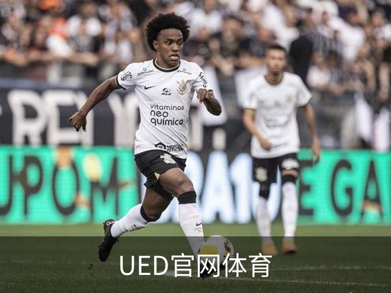 UED官网体育概况